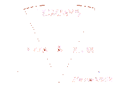 Tommy's logo